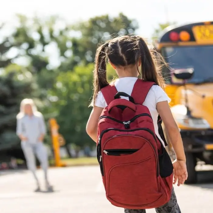 A Cessaniti\u00A0quest’anno niente scuolabus, la rabbia delle famiglie: «Tariffe proibitive, c’è chi ha scelto di cambiare istituto»\n