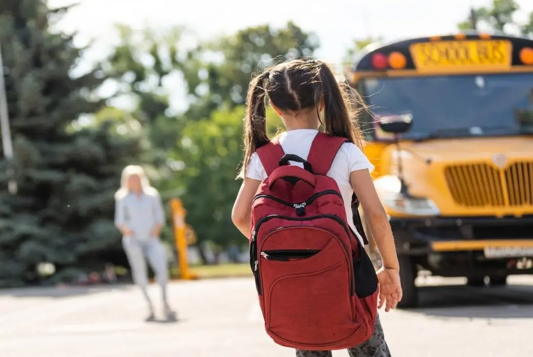 A Cessaniti\u00A0quest’anno niente scuolabus, la rabbia delle famiglie: «Tariffe proibitive, c’è chi ha scelto di cambiare istituto»\n