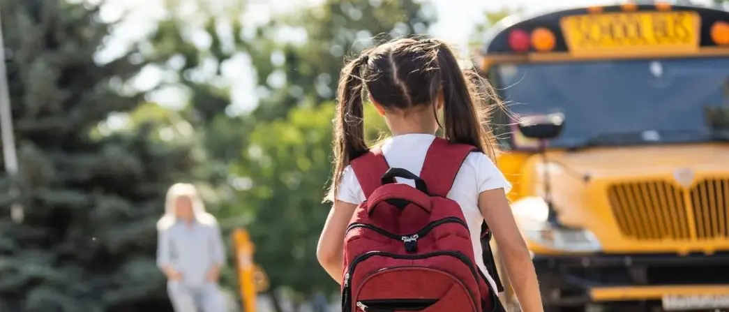 A Cessaniti\u00A0quest’anno niente scuolabus, la rabbia delle famiglie: «Tariffe proibitive, c’è chi ha scelto di cambiare istituto»\n