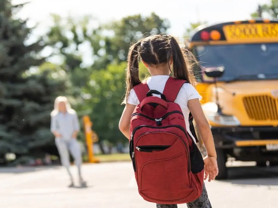 A Cessaniti quest’anno niente scuolabus, la rabbia delle famiglie: «Tariffe proibitive, c’è chi ha scelto di cambiare istituto»