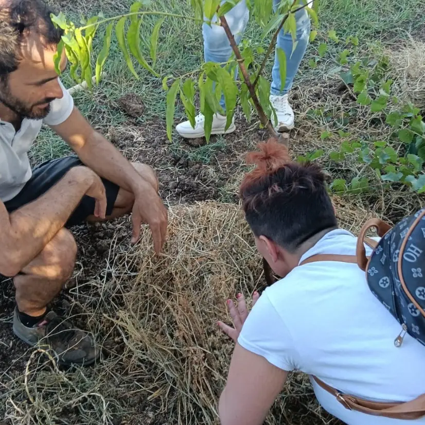 Agricoltura sociale e salute mentale, a Maida tre laboratori sperimentali promossi dal Gal Serre calabresi\n