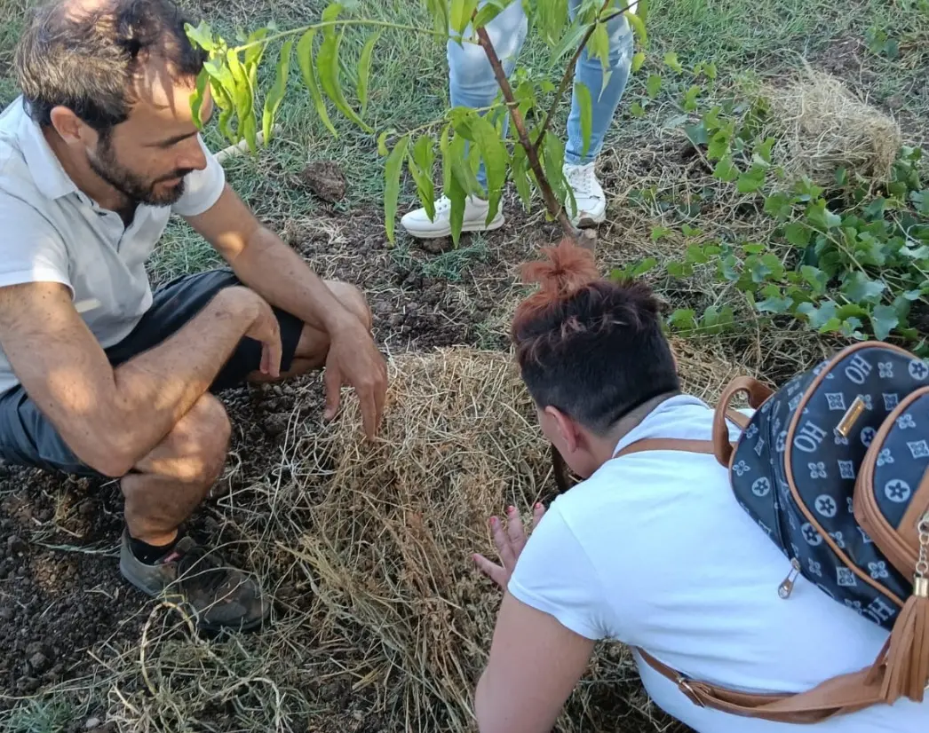Agricoltura sociale e salute mentale, a Maida tre laboratori sperimentali promossi dal Gal Serre calabresi\n