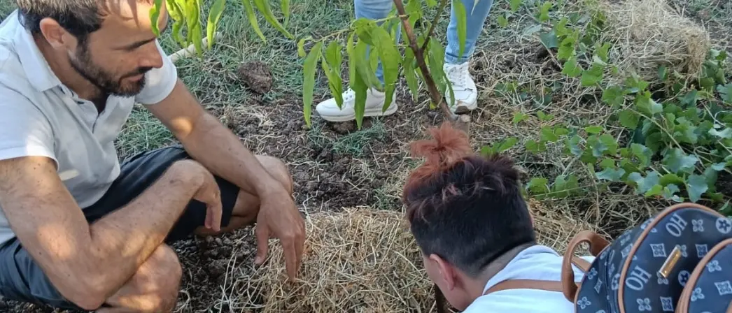 Agricoltura sociale e salute mentale, a Maida tre laboratori sperimentali promossi dal Gal Serre calabresi\n
