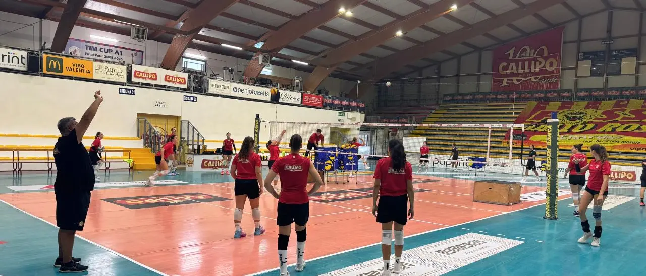 Volley femminile, la Tonno Callipo\u00A0pronta alla B1 con un roster ambizioso: «Puntiamo al salto di categoria» - VIDEO\n