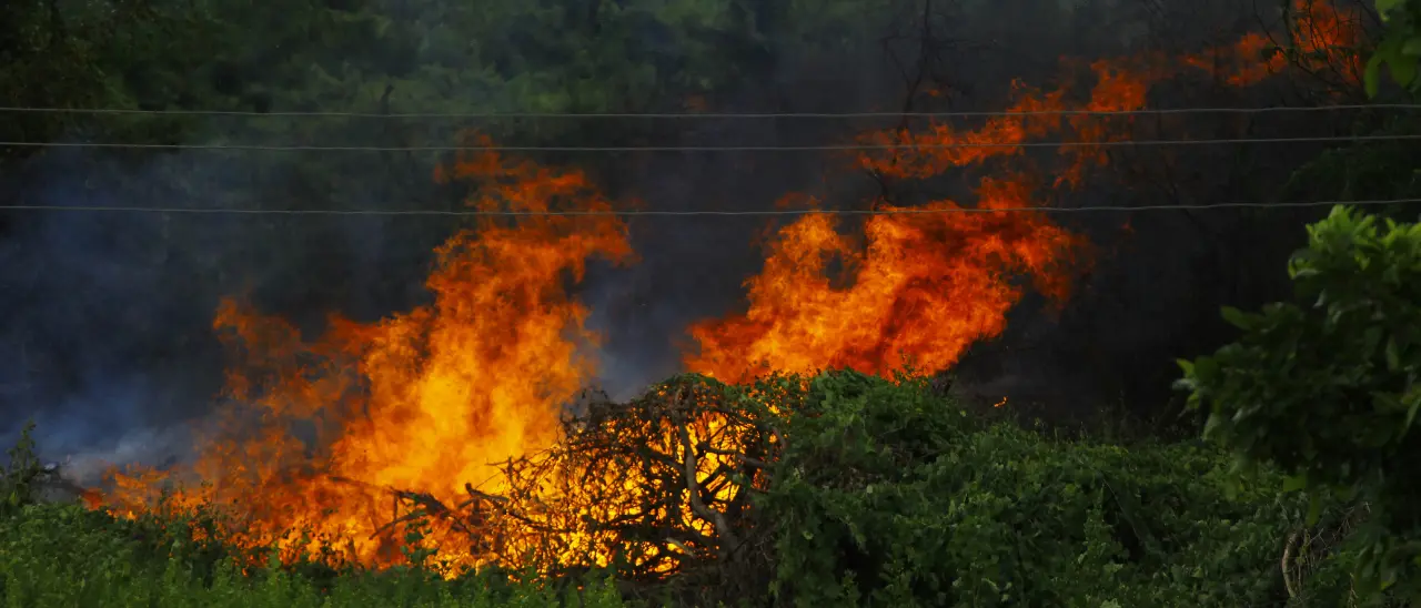 Il 2025 il peggiore degli ultimi 20 anni per incendi in Europa, in fumo 20 milioni di ettari. Sud Italia tra le zone più colpite\n