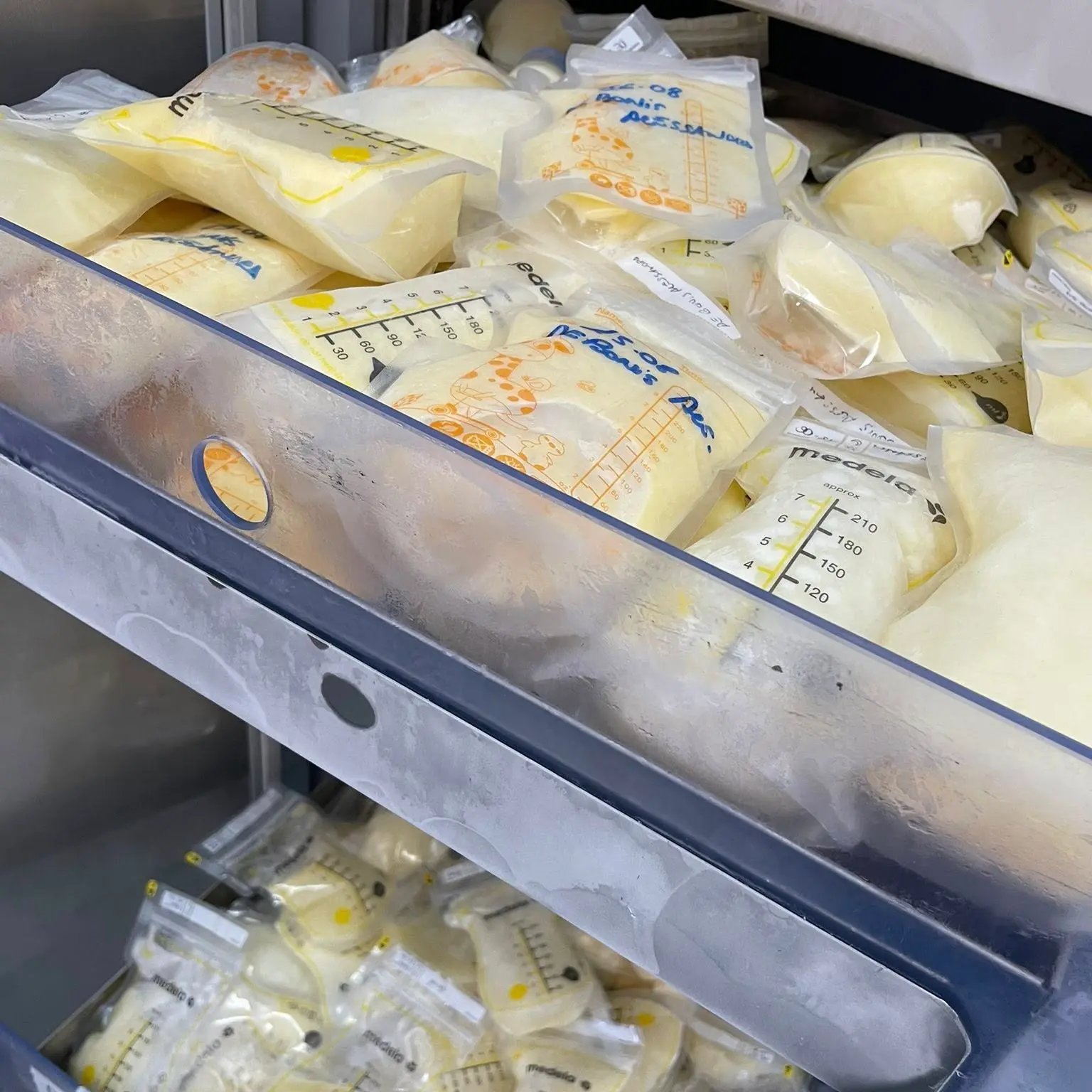 Annunziata, diciannove litri di latte materno donati al reparto di Terapia intensiva neonatale