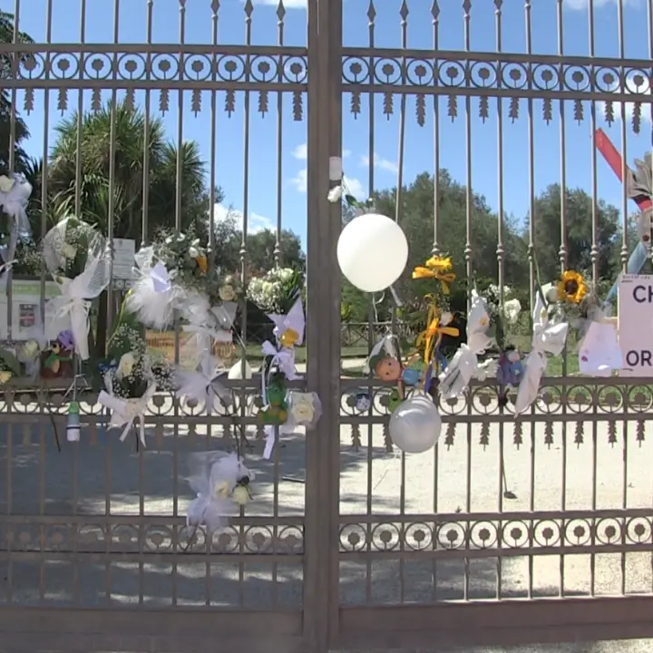 Morte del piccolo Francesco a Vibo, i messaggi di cordoglio di\u00A0società civile e istituzioni\n