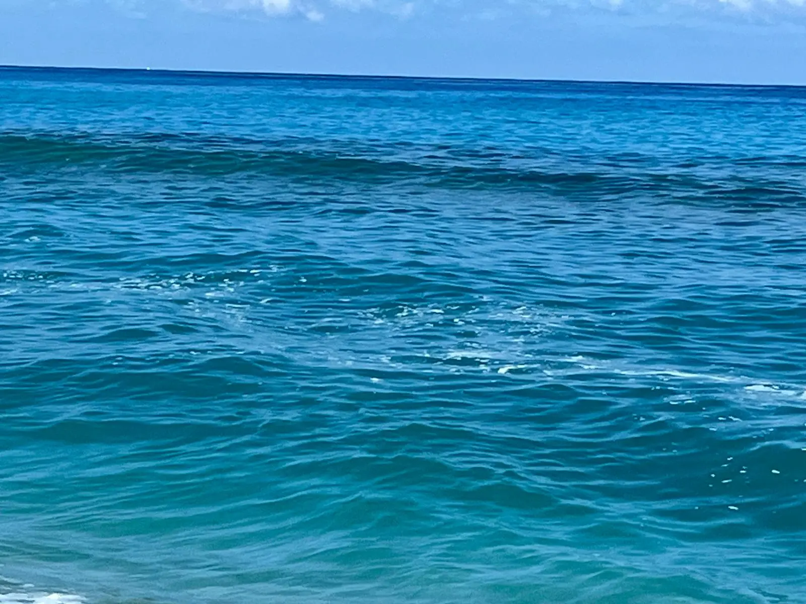 Zambrone, l’estate è quasi finita ma il mare sporco è ancora lì: «Quest’anno è stato un disastro»