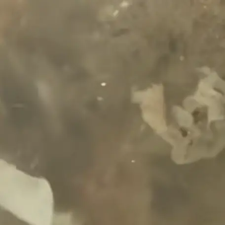 Fogna a cielo aperto nel torrente Peschiera: “Scempio ambientale”