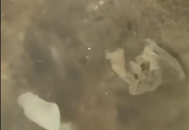 Fogna a cielo aperto nel torrente Peschiera: “Scempio ambientale”