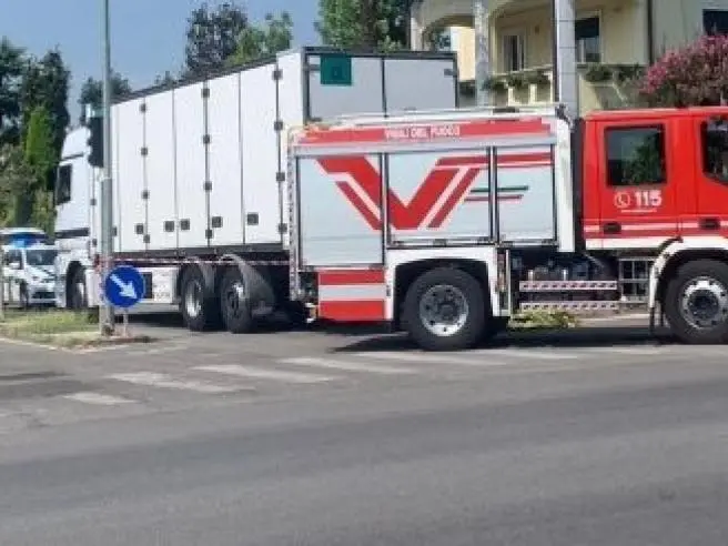 Investita da camion mentre aspetta bus per andare a scuola, 15enne morta in Trentino\n