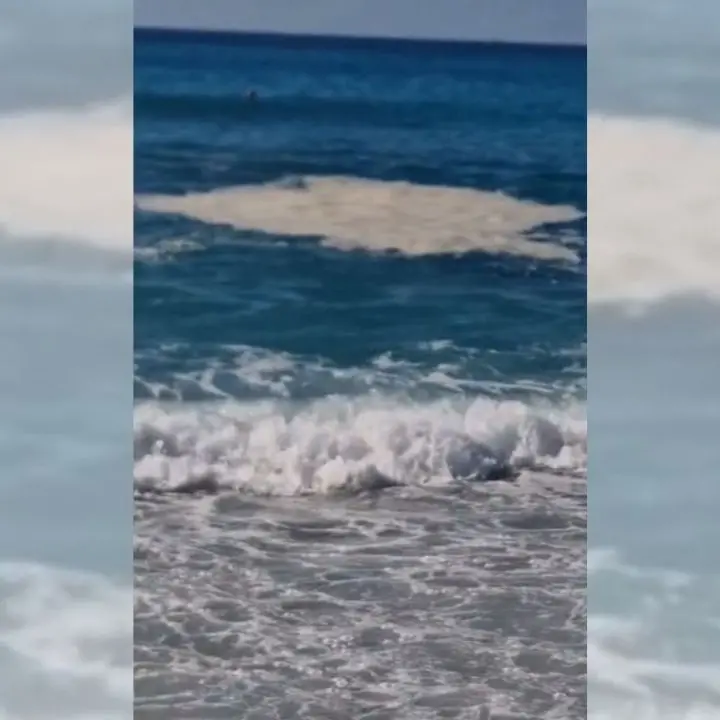 Zambrone, mare sempre più sporco e 29 euro per due Spritz: «Turisti delusi e arrabbiati» - VIDEO\n