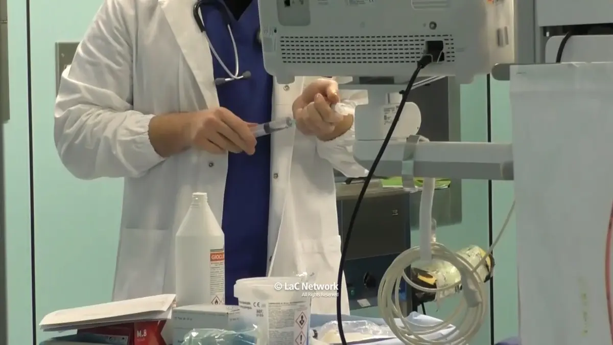 Influenza, l’allarme arriva dall’Australia. Anche in Calabria medici in allerta: «Fondamentali prevenzione e vaccini»\n