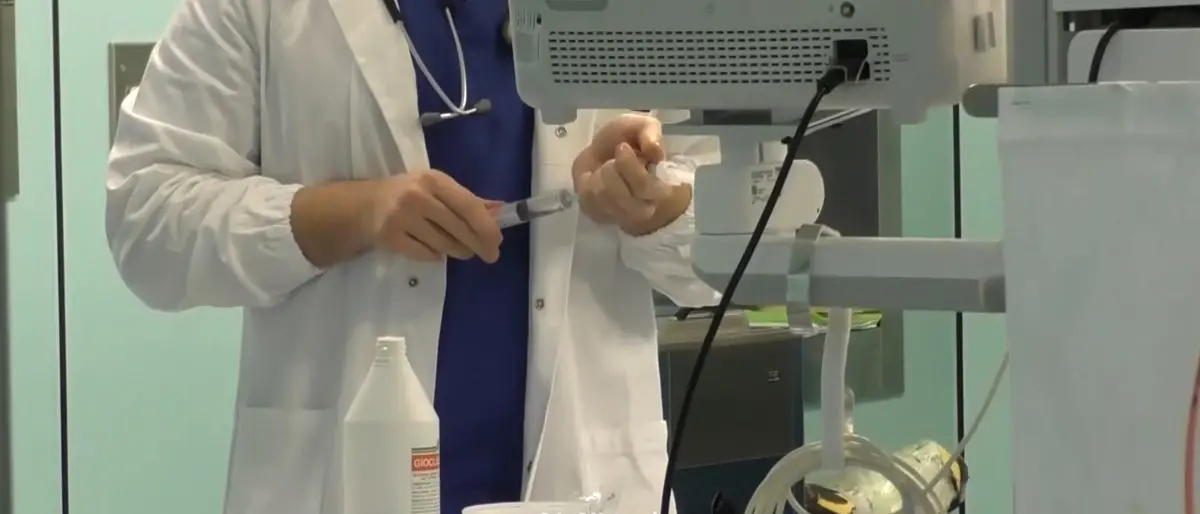 Influenza, l’allarme arriva dall’Australia. Anche in Calabria medici in allerta: «Fondamentali prevenzione e vaccini»\n