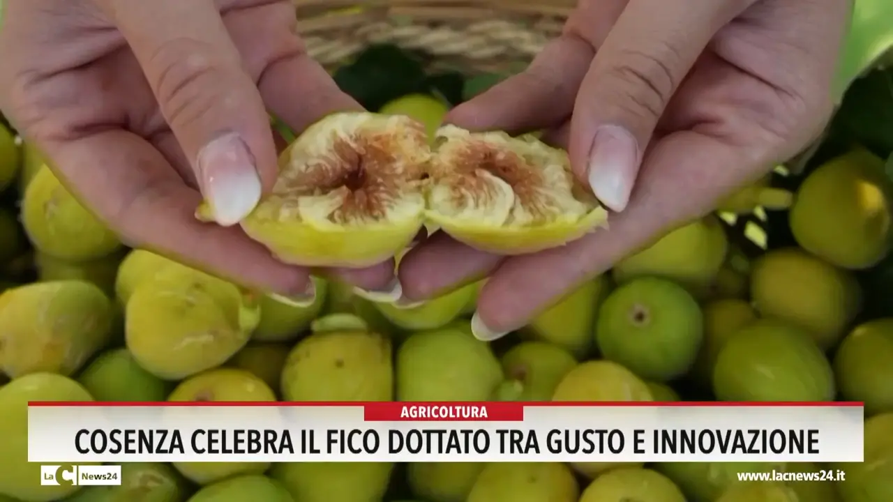 Cosenza celebra il fico dottato tra gusto e innovazione