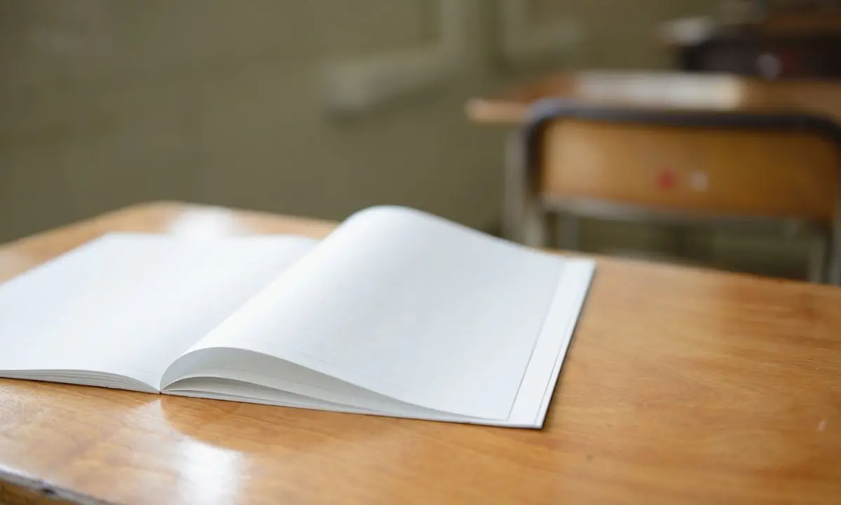 Al via la scuola in Calabria ma decine di studenti con disabilità non avranno i docenti di sostegno\n