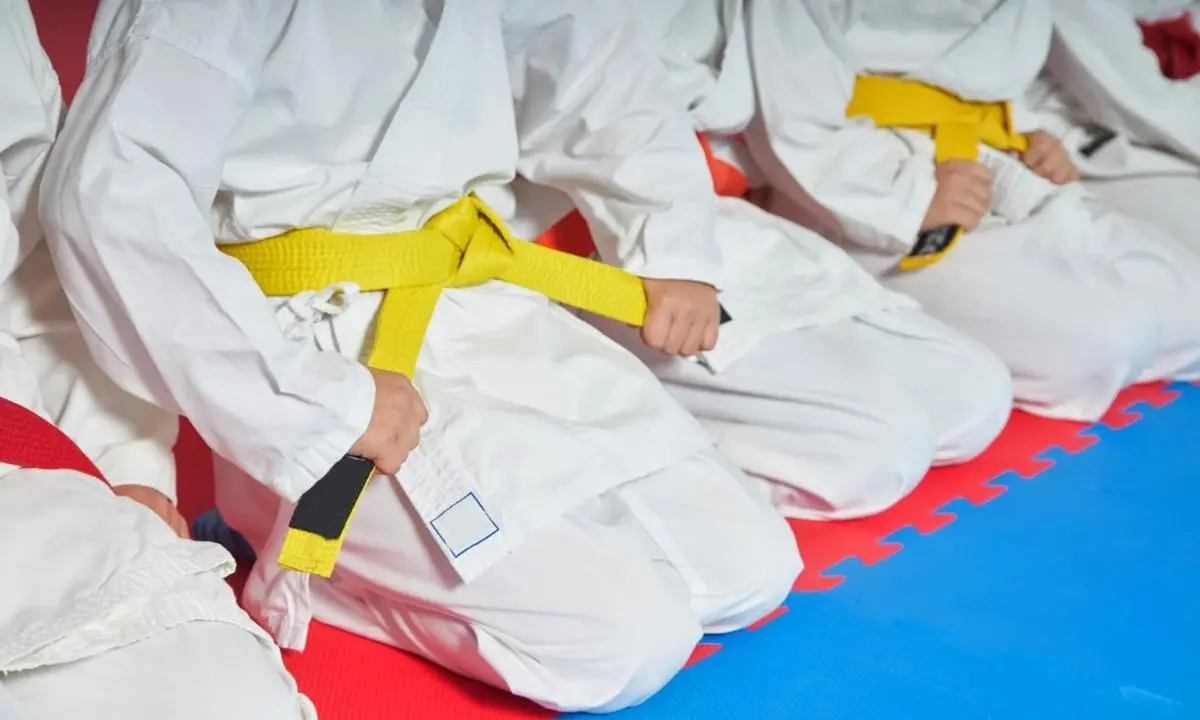 Vibo capitale del karate: tutto pronto per le gare di qualificazione al Campionato italiano\n
