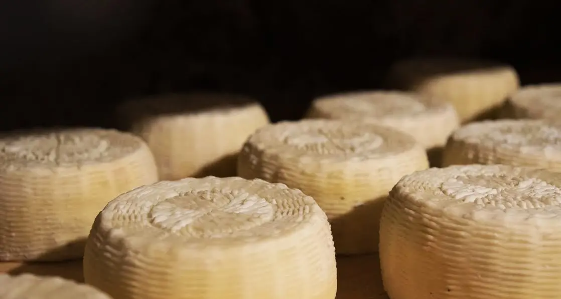 I formaggi calabresi approdano a Cheese, la fiera internazionale dedicata all’arte casearia ospitata in Piemonte\n