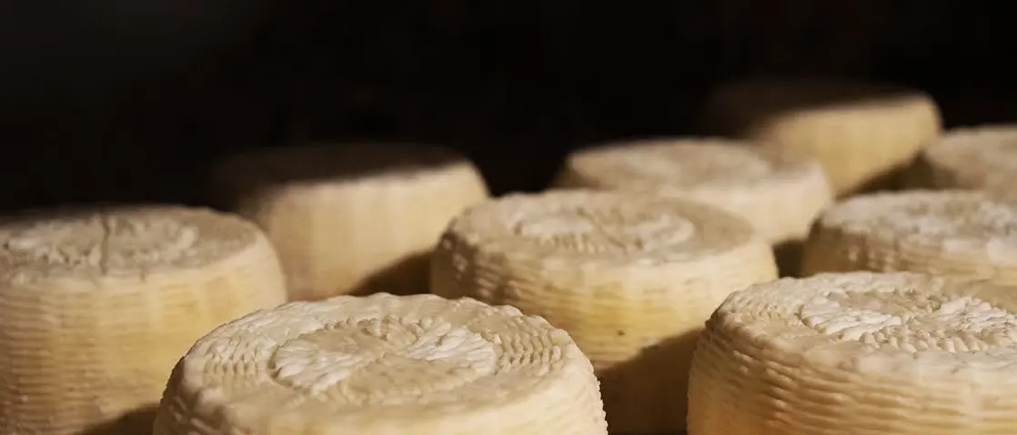 I formaggi calabresi approdano a Cheese, la fiera internazionale dedicata all’arte casearia ospitata in Piemonte\n