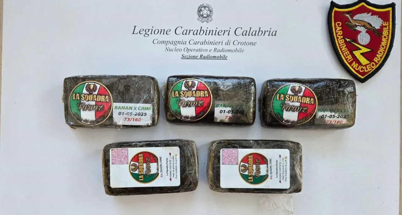 Crotone, mezzo chilo di\u00A0hashish scoperto in un edificio abbandonato nel centro storico\n