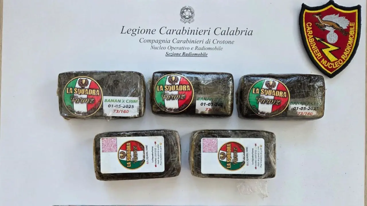 Crotone, mezzo chilo di\u00A0hashish scoperto in un edificio abbandonato nel centro storico\n