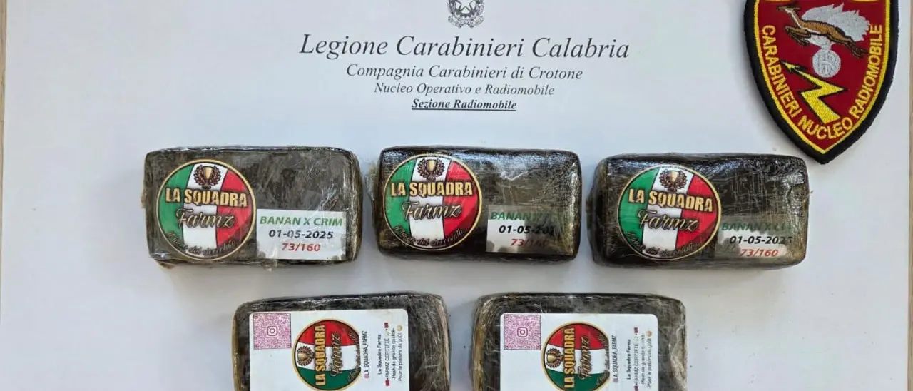 Crotone, mezzo chilo di\u00A0hashish scoperto in un edificio abbandonato nel centro storico\n