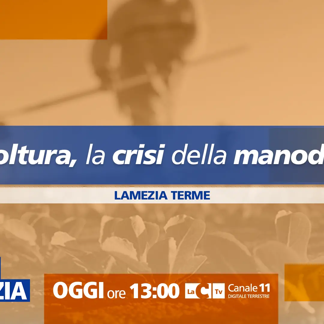 Agricoltura in crisi per mancanza di manodopera, oggi focus a Dentro la notizia su LaC Tv\n