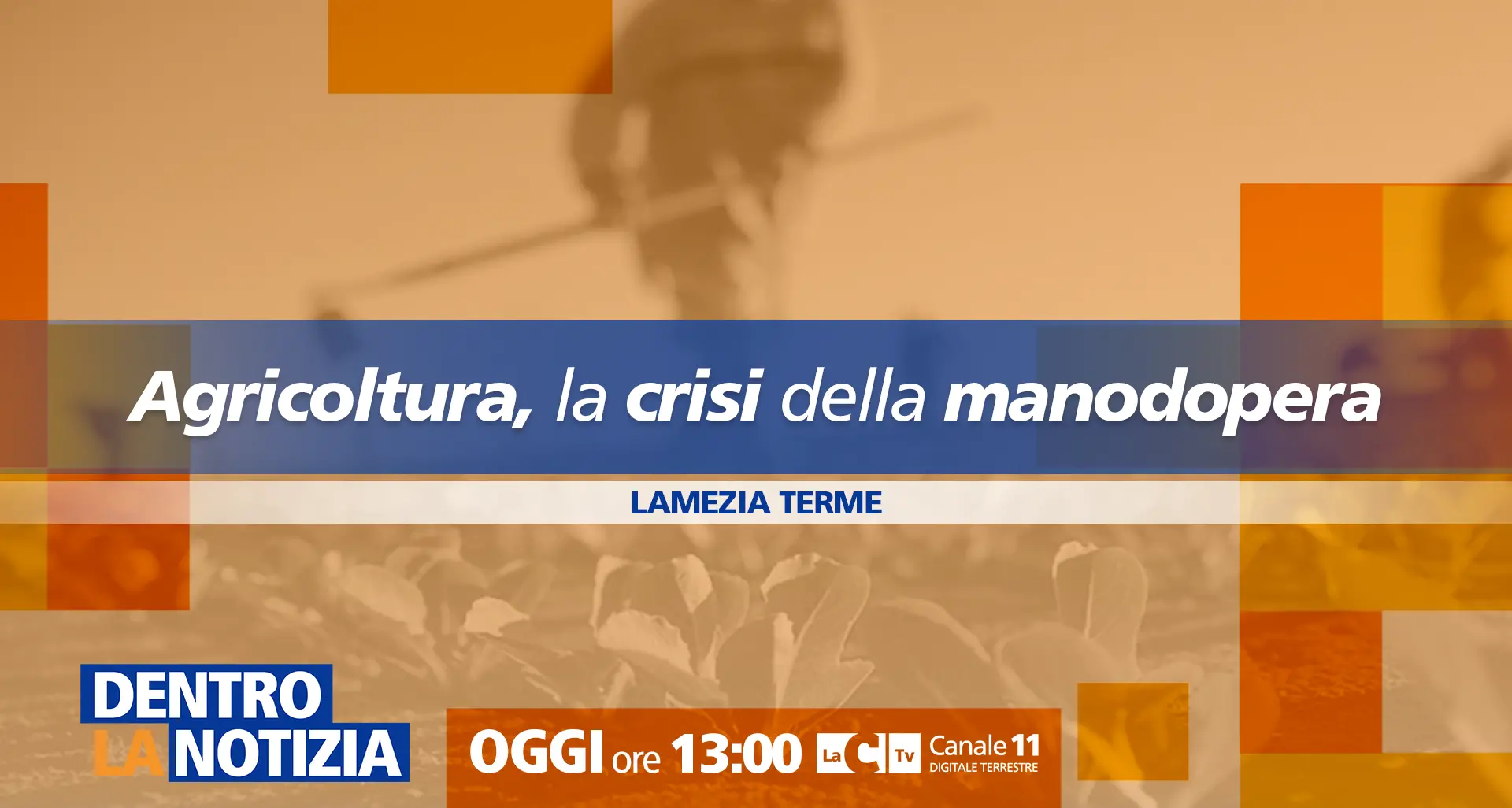 Agricoltura in crisi per mancanza di manodopera, oggi focus a Dentro la notizia su LaC Tv\n