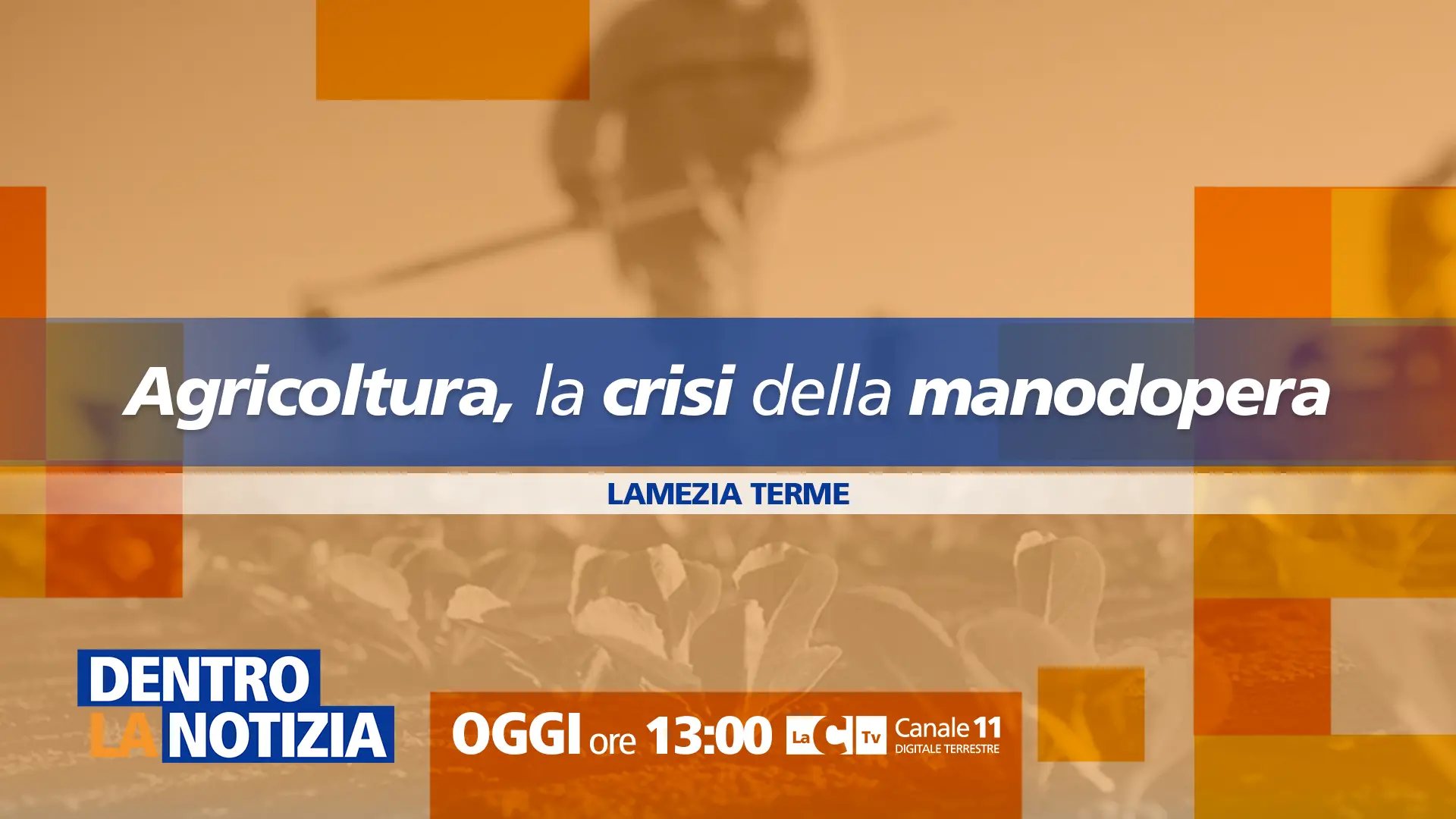 Agricoltura in crisi per mancanza di manodopera, oggi focus a Dentro la notizia su LaC Tv\n