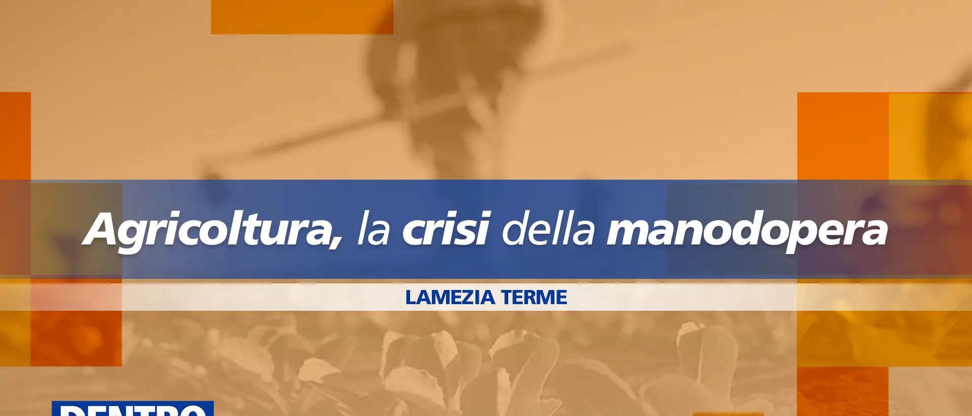 Agricoltura in crisi per mancanza di manodopera, oggi focus a Dentro la notizia su LaC Tv\n