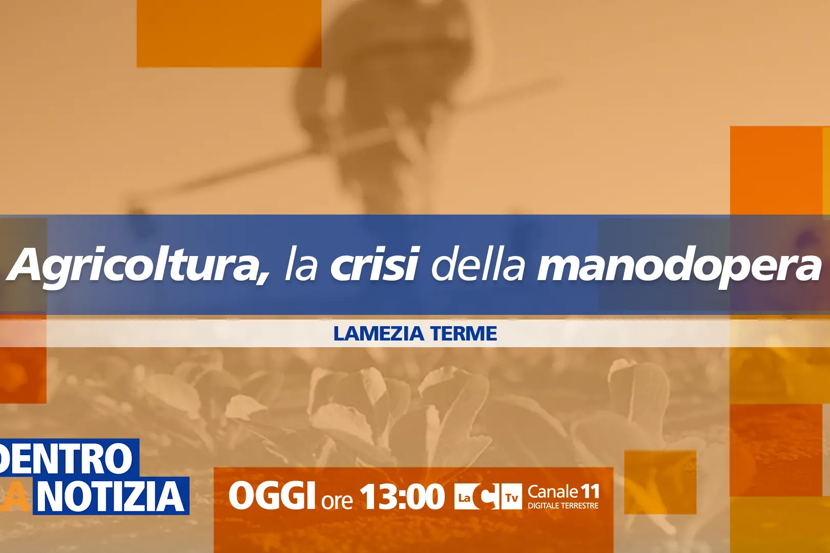 Agricoltura in crisi per mancanza di manodopera, oggi focus a Dentro la notizia su LaC Tv\n
