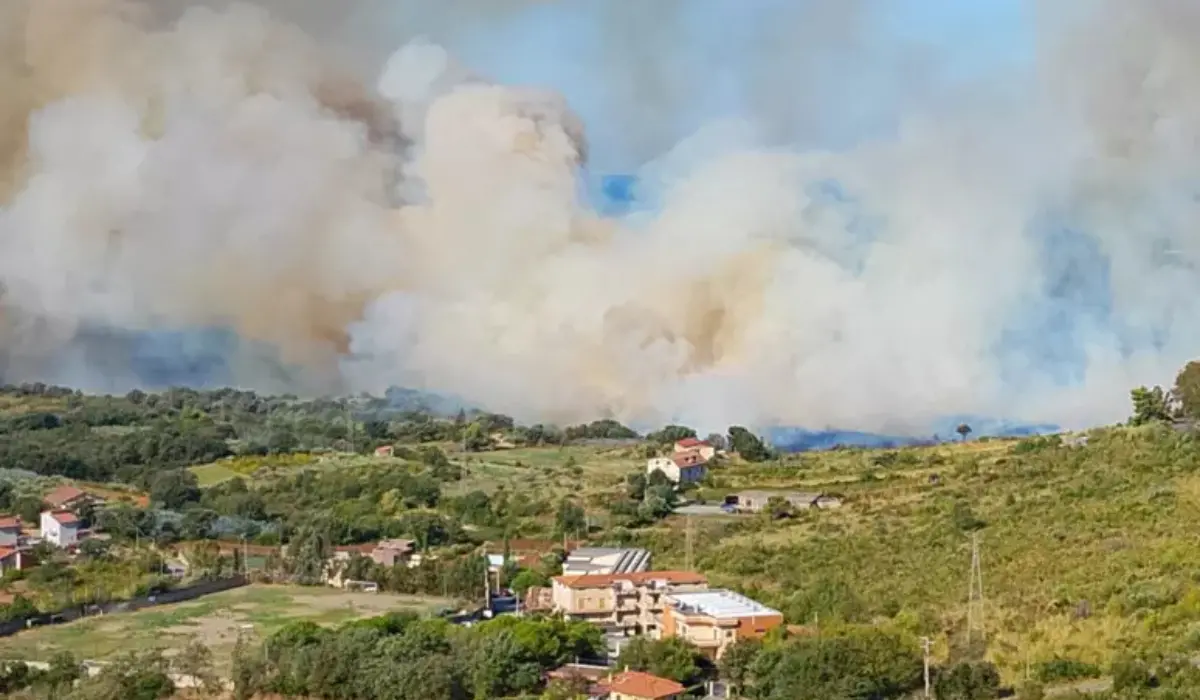 Spaventoso incendio a Santa Domenica Talao, scuole evacuate e strade chiuse: rinvenuti diversi punti di innesco\n