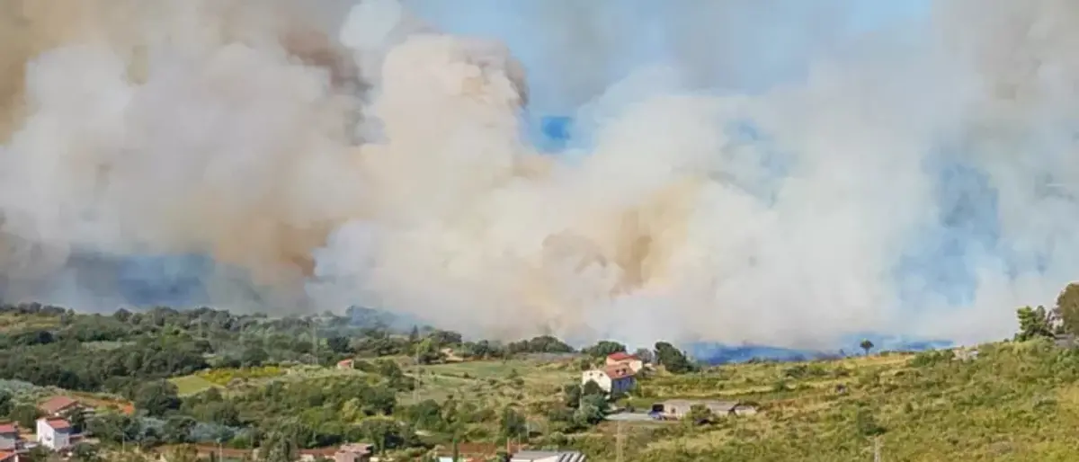 Spaventoso incendio a Santa Domenica Talao, scuole evacuate e strade chiuse: rinvenuti diversi punti di innesco\n