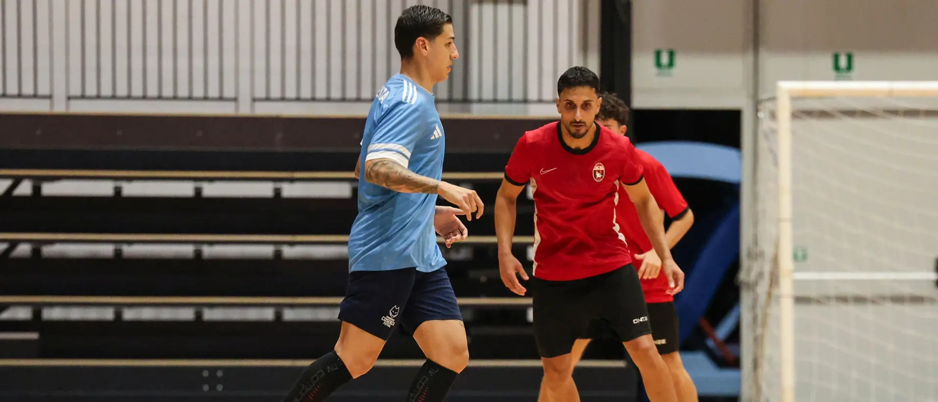 Futsal, derbty tra lupi in Coppa Divisione: il\u00A0Città di Acri ospita la Pirossigeno Cosenza\n