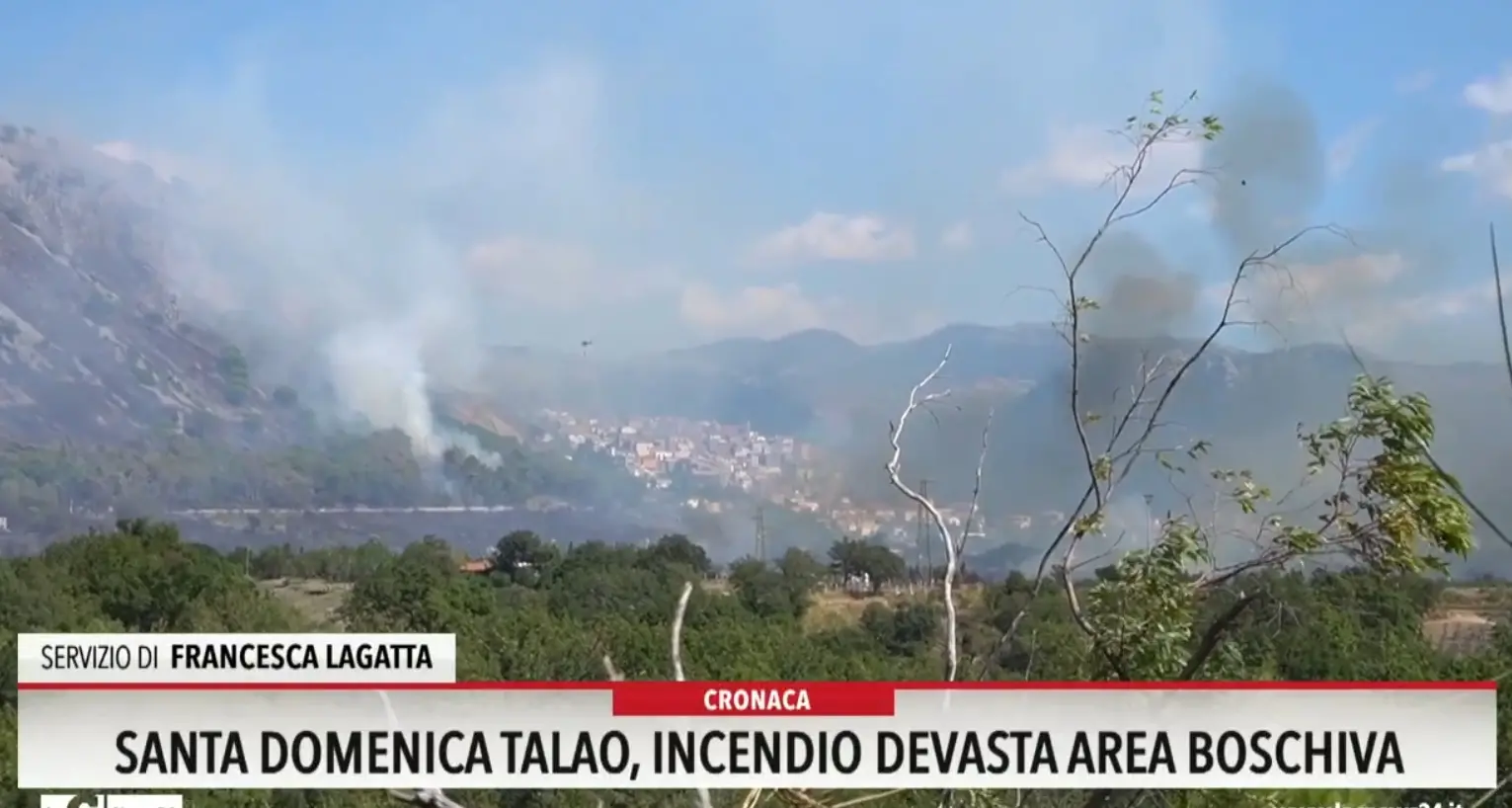 Santa Domenica Talao, incendio devasta area boschiva