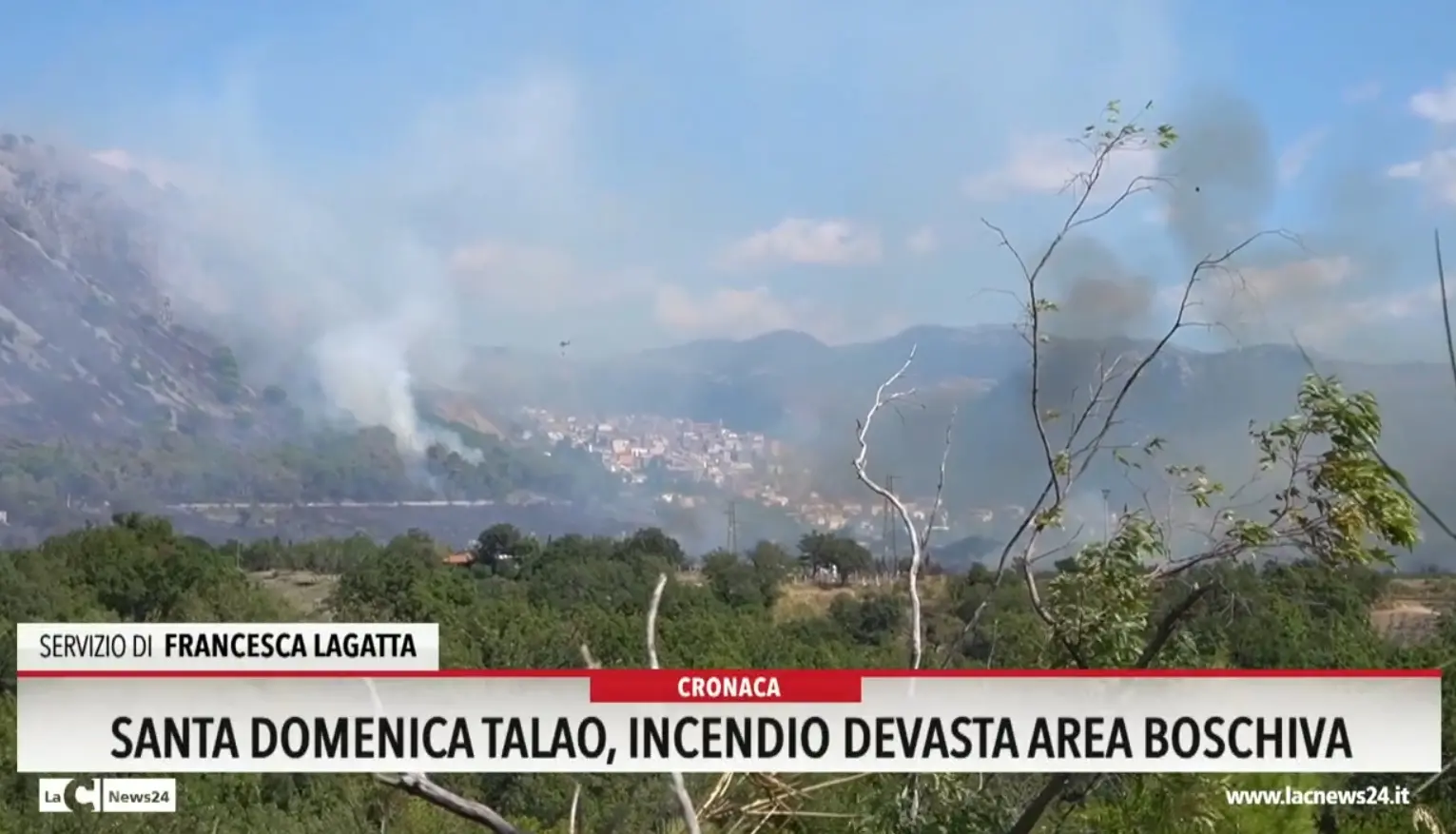 Santa Domenica Talao, incendio devasta area boschiva