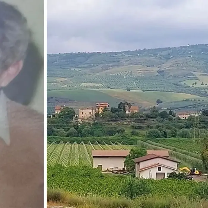 Portò la Calabria sulle tavole di tutta Europa: la storia di Luciano Sirotti, il visionario della piana di Sibari\n