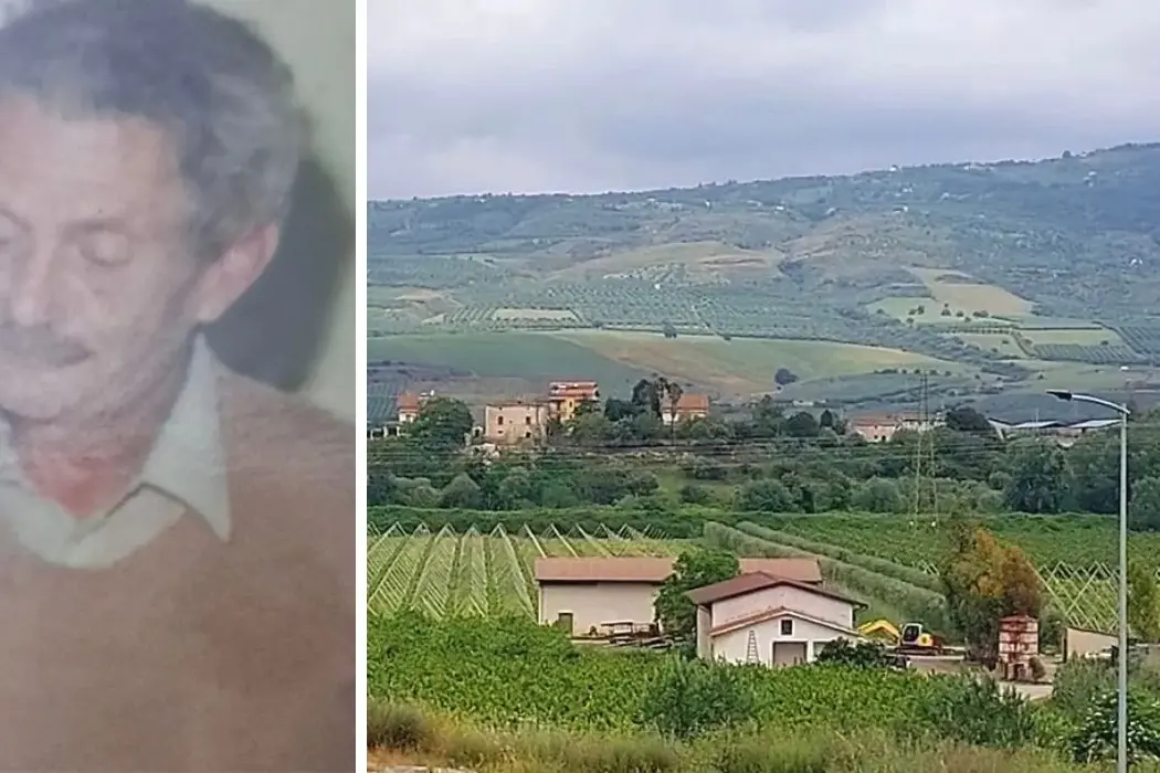 Portò la Calabria sulle tavole di tutta Europa: la storia di Luciano Sirotti, il visionario della piana di Sibari\n