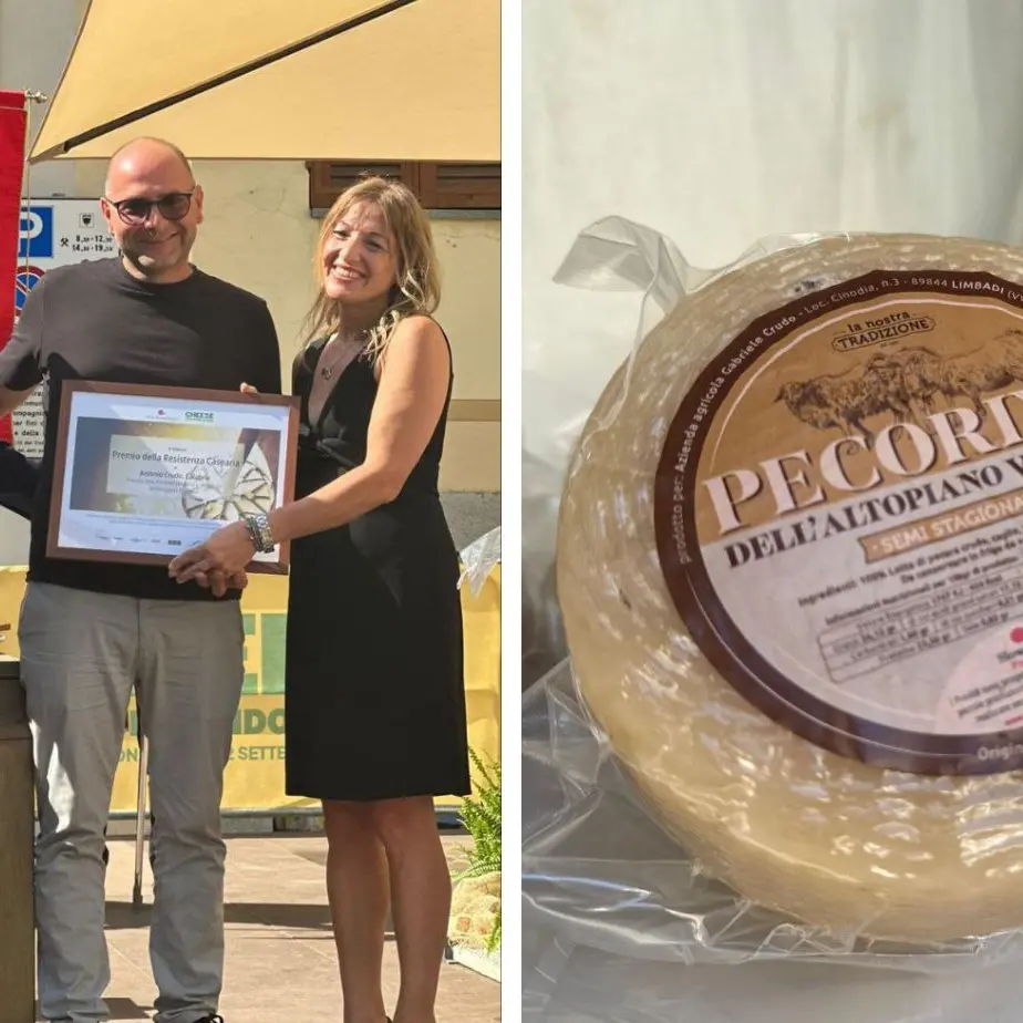 Al Pecorino a latte crudo dell’altopiano vibonese il premio “Resistenza casearia” di Slow Food\n