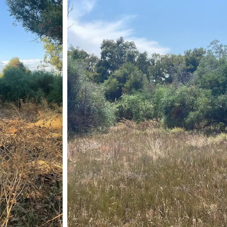Calopezzati, la Soprintendenza nell’area archeologica di Gadice. Legambiente: «Servono fondi straordinari»\n