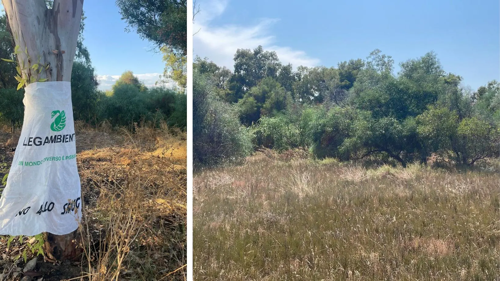 Calopezzati, la Soprintendenza nell’area archeologica di Gadice. Legambiente: «Servono fondi straordinari»\n