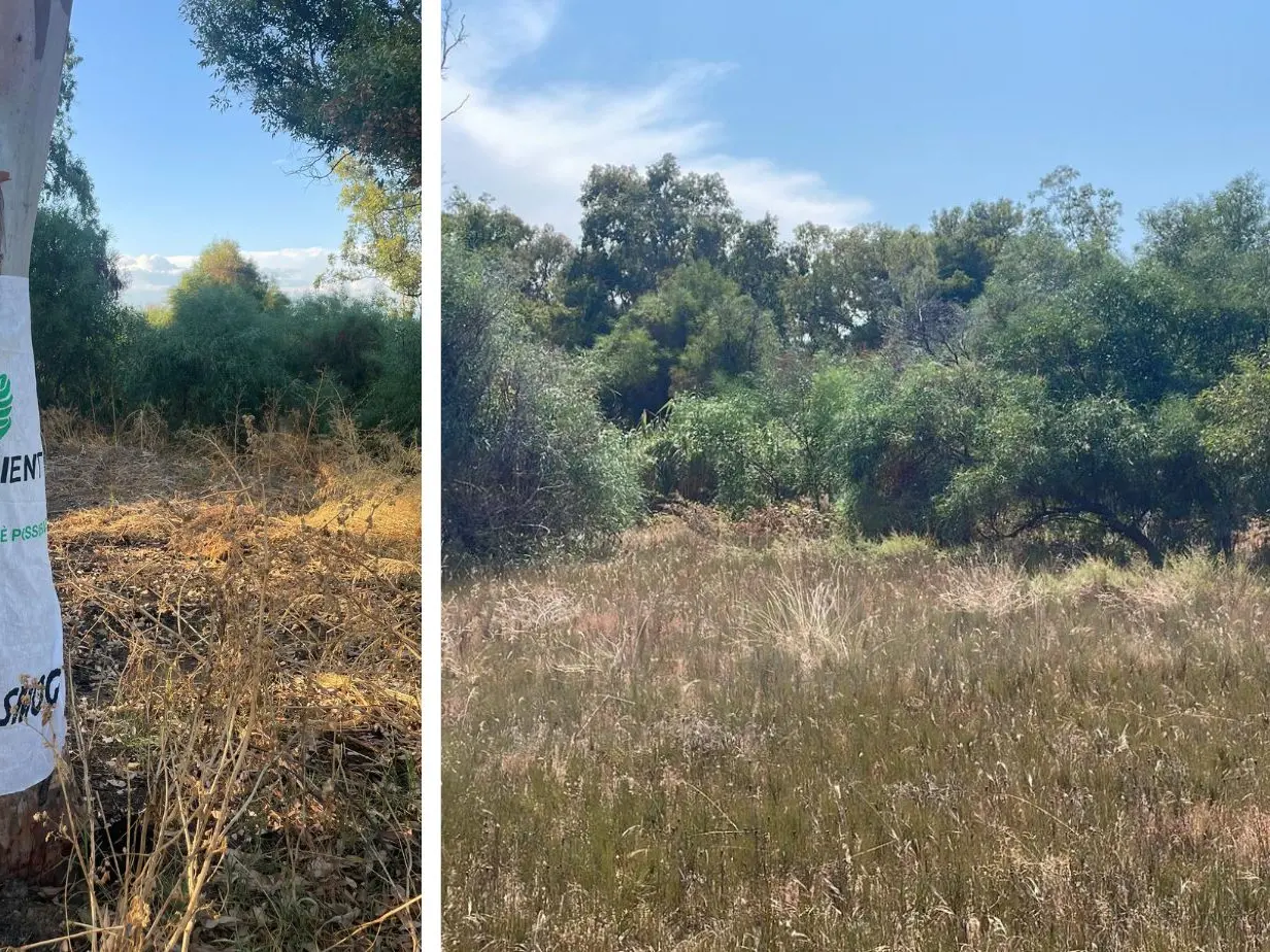 Calopezzati, la Soprintendenza nell’area archeologica di Gadice. Legambiente: «Servono fondi straordinari»