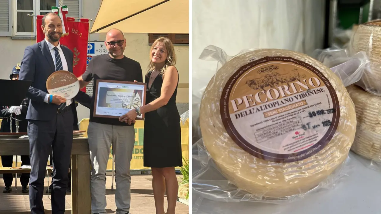 Al Pecorino a latte crudo dell’altopiano vibonese il premio “Resistenza casearia” di Slow Food\n