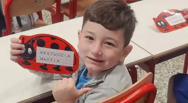 Joppolo piange il piccolo Mattia, travolto da un’auto mentre era in bici con la madre in provincia di Rovigo\n