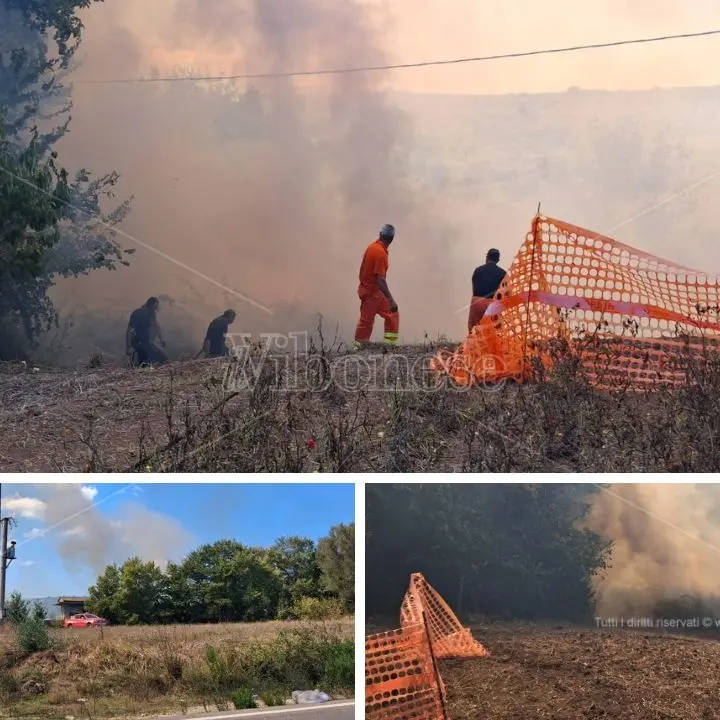 Vasto incendio a Jonadi minaccia un’attività commerciale e alcune case: intervengono i vigili del fuoco\n