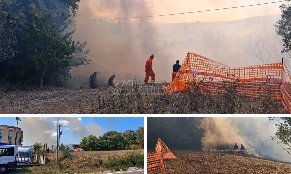 Vasto incendio a Jonadi minaccia un’attività commerciale e alcune case: intervengono i vigili del fuoco\n