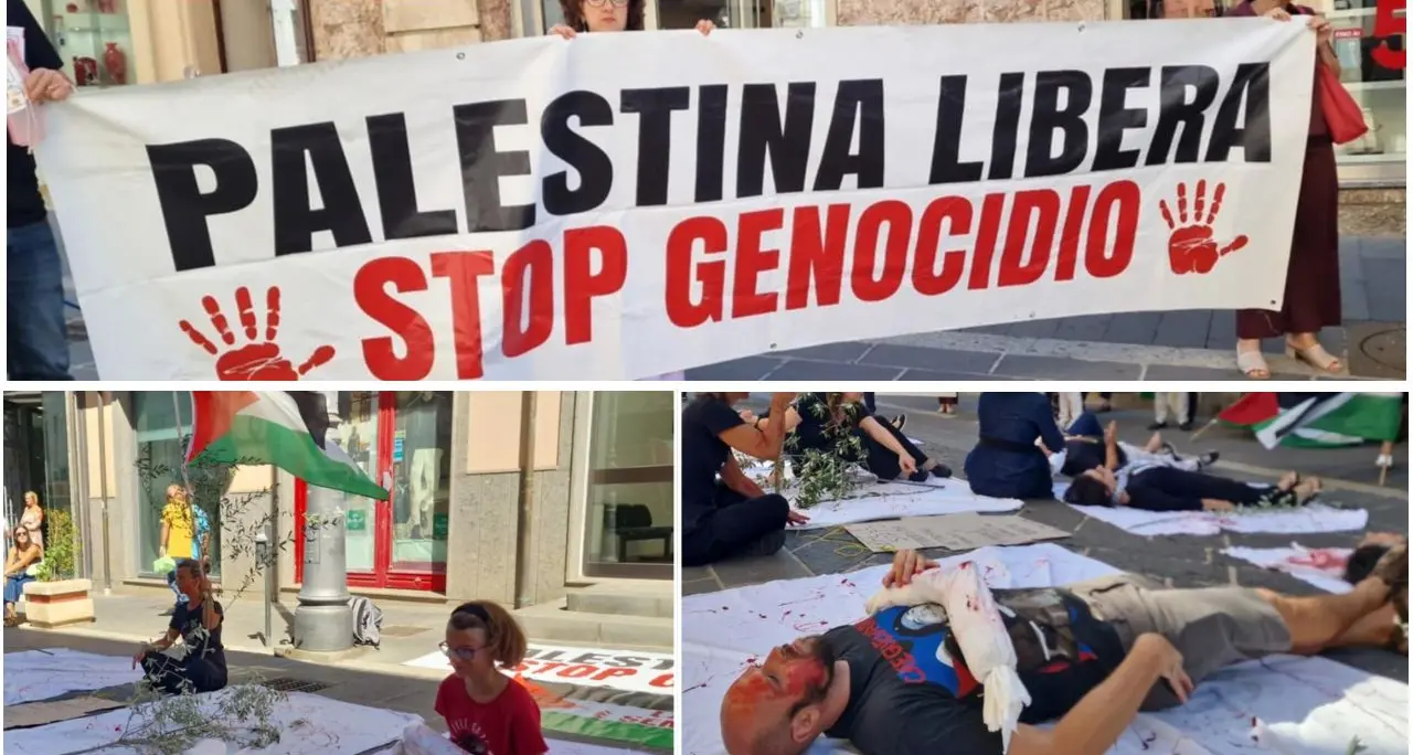 «Fermare la strage a Gaza»: corteo di solidarietà in centro a Vibo e sit-in davanti alla Prefettura\n