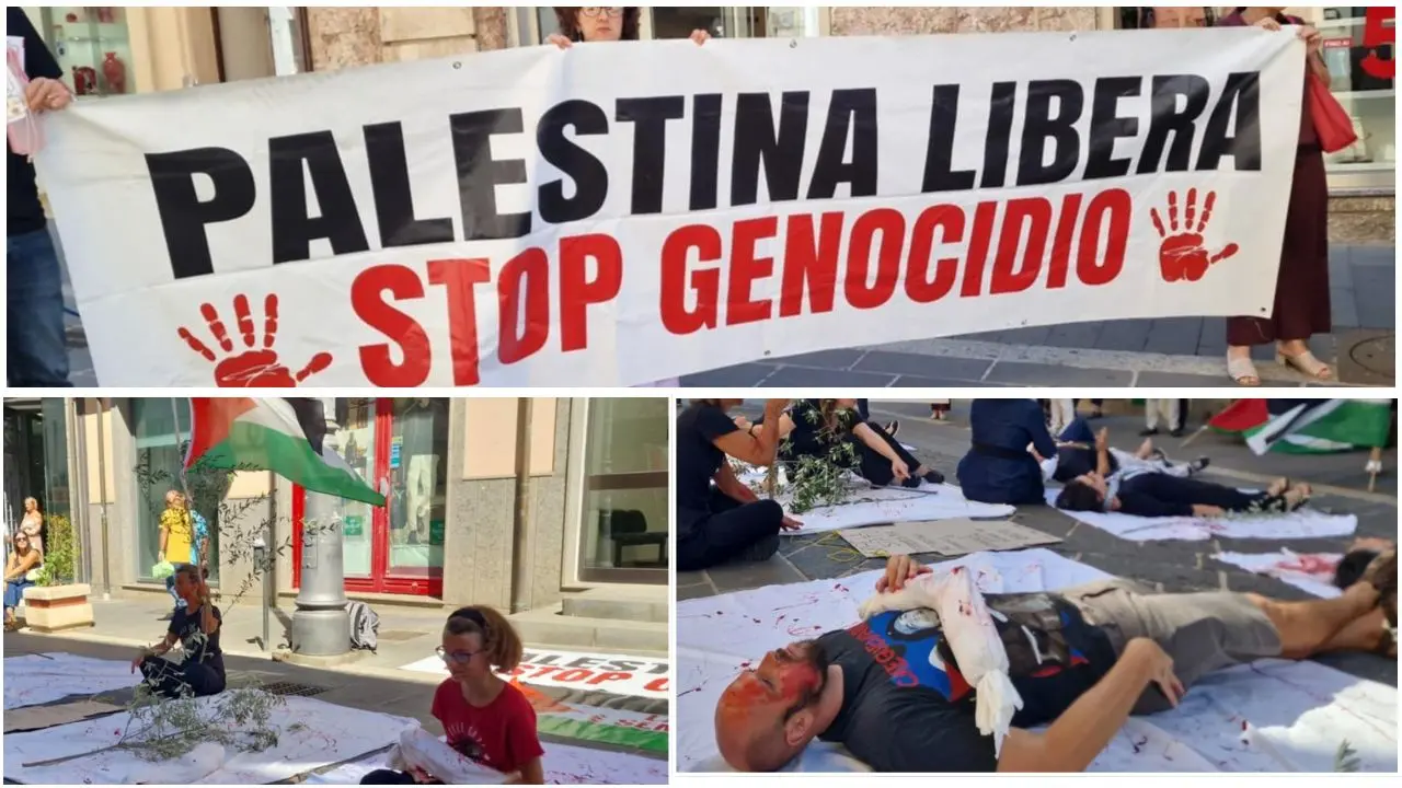 «Fermare la strage a Gaza»: corteo di solidarietà in centro a Vibo e sit-in davanti alla Prefettura\n