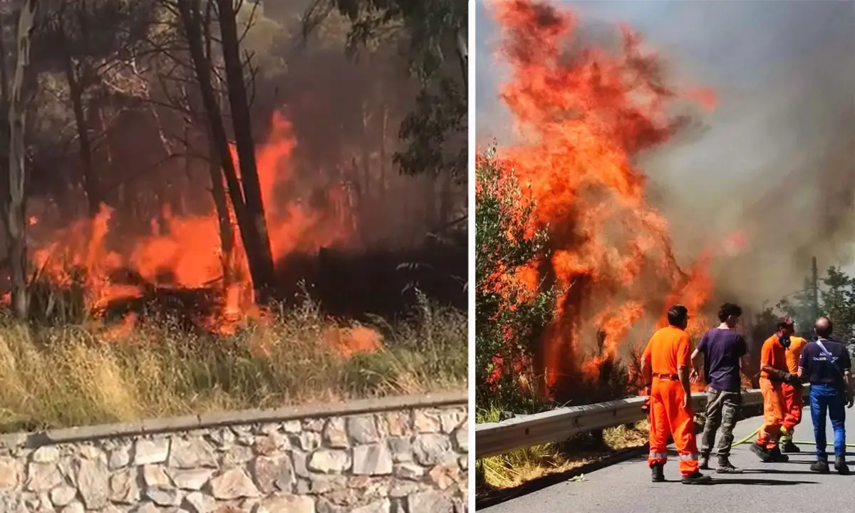 Santa Domenica Talao, albero in fiamme sulla\u00A0SS 504. Strada riaperta dopo ore