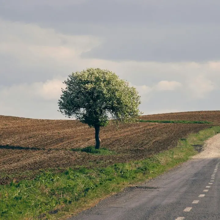 Aree interne, Mancuso (Pd): «Siamo l’unico partito che ha tracciato un percorso di impegno in tempi non sospetti»\n